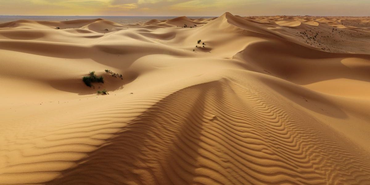 Japonia și Norvegia inovează: Nisipul din deșert, transformat în material de construcții