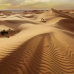 Japonia și Norvegia inovează: Nisipul din deșert, transformat în material de construcții