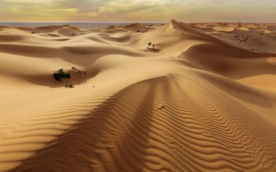 Japonia și Norvegia inovează: Nisipul din deșert, transformat în material de construcții