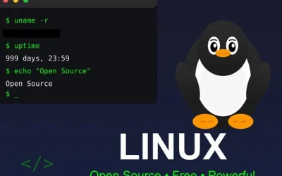 Franța scapă de Windows: Migrează la Linux pentru suveranitate digitală