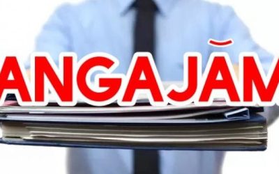 Angajări pe bandă în România: Se „bat” firmele pe necalificați, șoferi și curieri