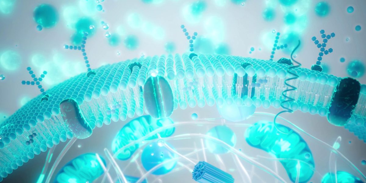 Cât de multă știință există în industria longevității