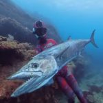 Macrou URIAȘ ucigaș: Un pescar din Australia, ucis de pește de 25 kg