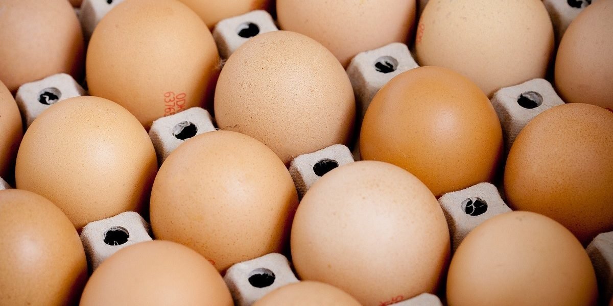 Ouă suspecte, 66.000 confiscate de veterinari la Bârlad