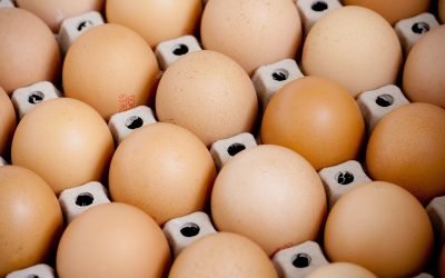 Ouă suspecte, 66.000 confiscate de veterinari la Bârlad