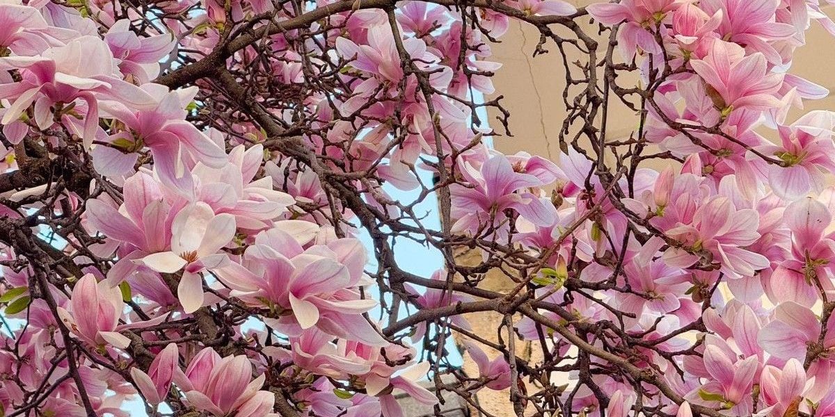 Vremea în România: ANM anunță prognoza pentru perioada 13-26 aprilie 2026