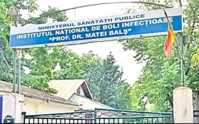 Patru inculpați, trimiși în judecată în dosar de fraudă