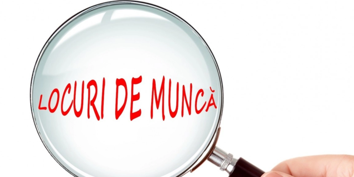 Cele mai căutate joburi în România: Ce salarii atrag angajații