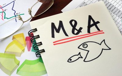 Carrefour și Garanti vând afaceri: Boom record pe piața M&A din România