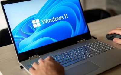 Update Windows FALS: Hoți cibernetici fură parole și bani!