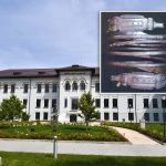 Jaf la Drobeta Turnu Severin: 552 de artefacte din AUR și argint, dispărute