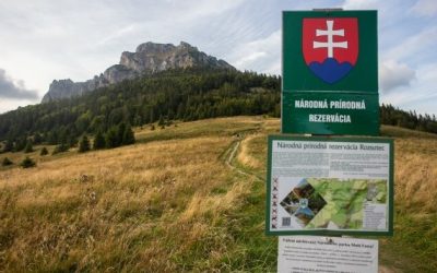Autoritățile germane, apel pentru Ziua Pământului: Ce măsuri se impun
