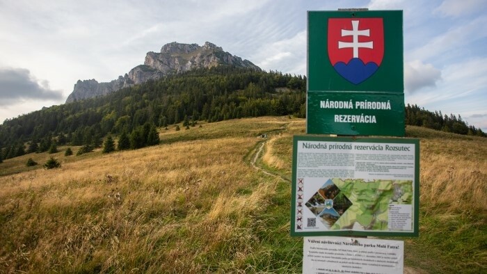 Autoritățile germane, apel pentru Ziua Pământului: Ce măsuri se impun