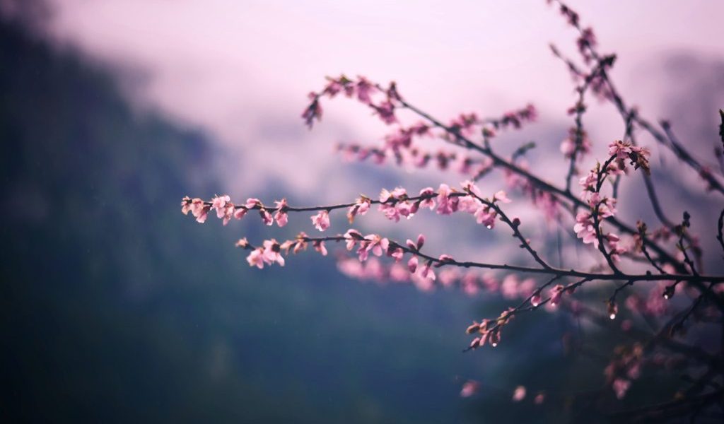 Vremea de Paște: Vine frigul! Ninsori la munte și ploi în restul României