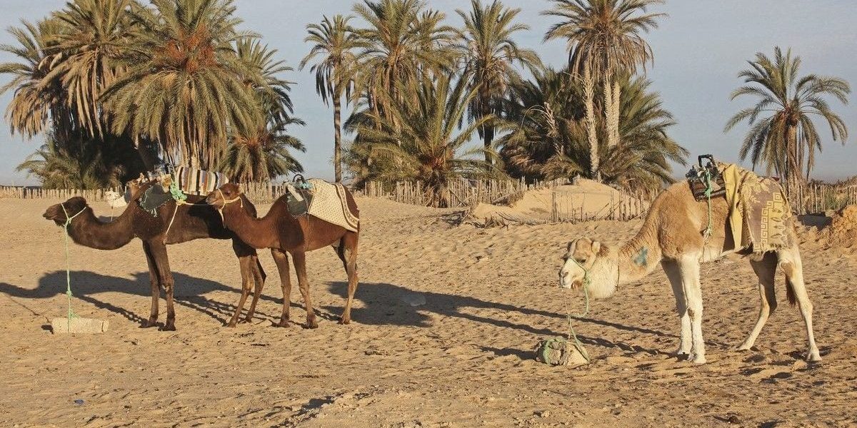 Materialul-minune: Betonul viitorului e aici și schimbă lumea!