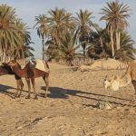 Materialul-minune: Betonul viitorului e aici și schimbă lumea!