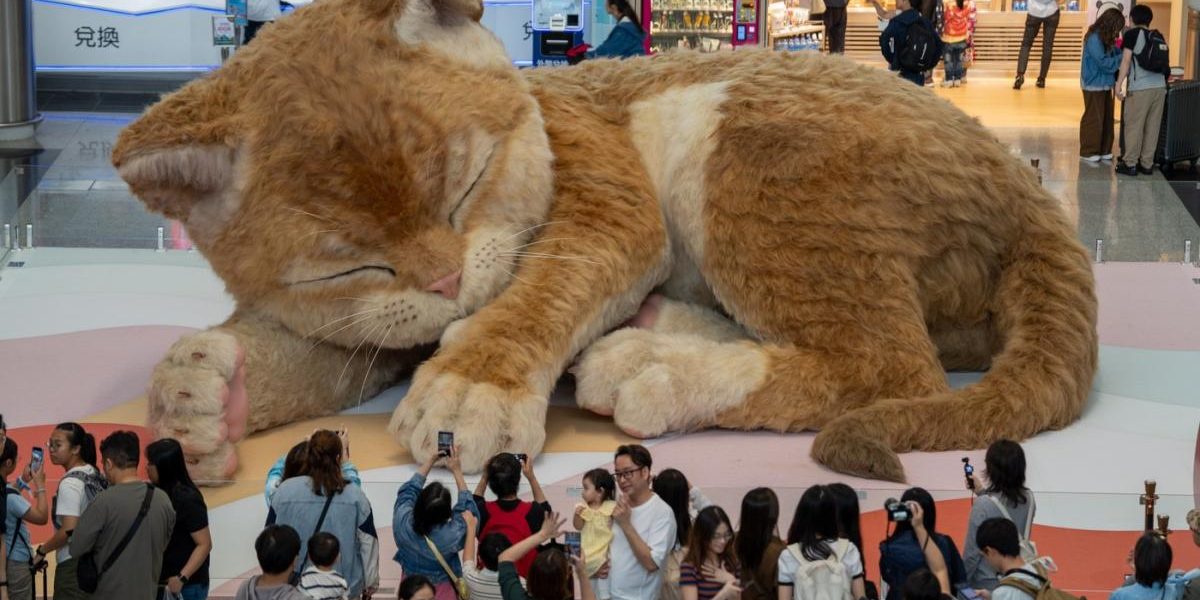 O pisică uriașă de 8 metri „locuiește” în aeroportul din Hong Kong, fascinând călătorii