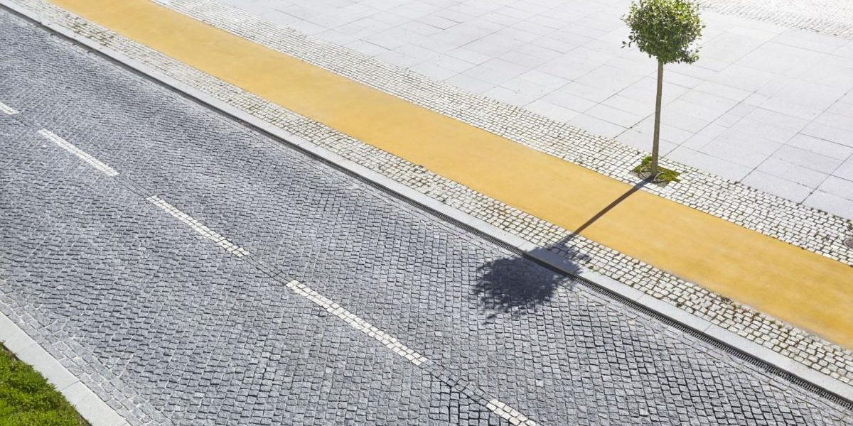 Prăpastie verde: Bogăția în Copaci, Lux pentru Săraci în Europa