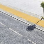 Prăpastie verde: Bogăția în Copaci, Lux pentru Săraci în Europa