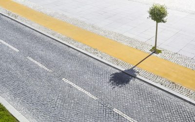 Prăpastie verde: Bogăția în Copaci, Lux pentru Săraci în Europa