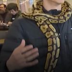 Șerpi pentru studenți: Universitatea canadiană reduce stresul în sesiune