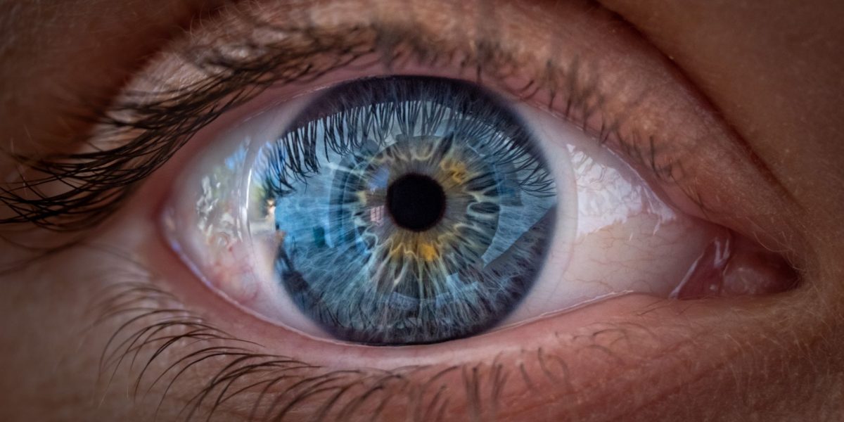 Un nou studiu aruncă o lumină inedită asupra felului în care ochii umani focalizează culorile, sugerând că mecanismul este mai complex decât se credea anterior