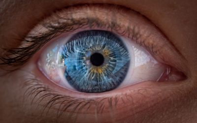 Un nou studiu aruncă o lumină inedită asupra felului în care ochii umani focalizează culorile, sugerând că mecanismul este mai complex decât se credea anterior