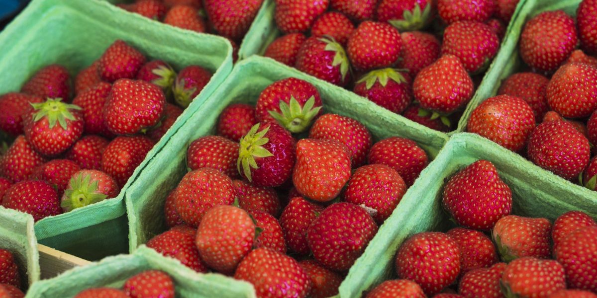 Căpșunele, mai scumpe după iarna cruntă: Ce prețuri sunt acum