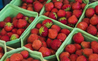 Căpșunele, mai scumpe după iarna cruntă: Ce prețuri sunt acum