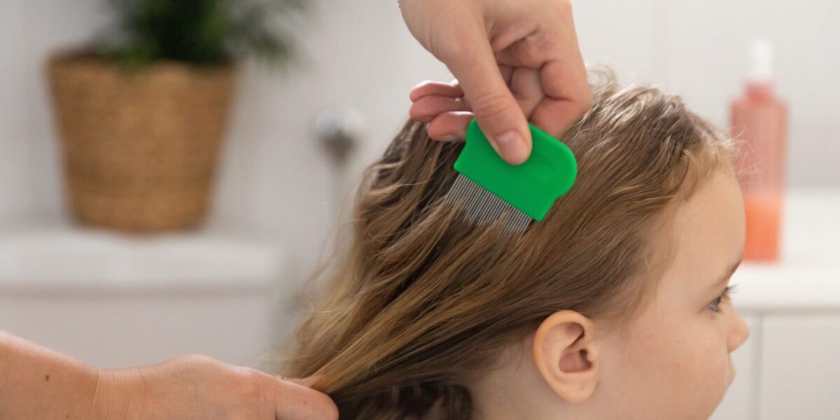 Remedii-minune împotriva păduchilor: Ce funcționează cu adevărat în România