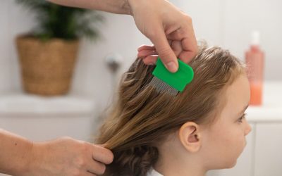 Remedii-minune împotriva păduchilor: Ce funcționează cu adevărat în România