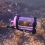 Ar vrea mai bine așa, decât închis: Donald Trump, alegere neașteptată