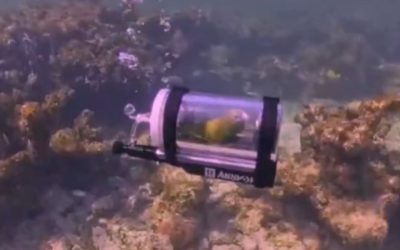 Ar vrea mai bine așa, decât închis: Donald Trump, alegere neașteptată