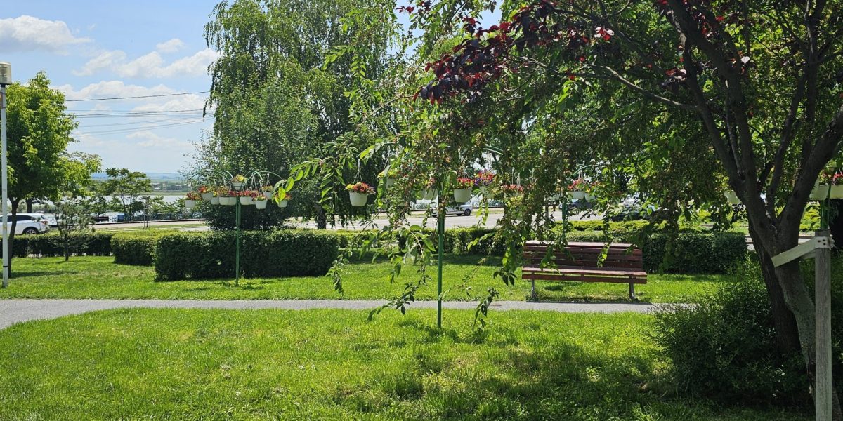 Vor da socoteală: Scandalul ajunge la ușa justiției