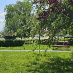 Vor da socoteală: Scandalul ajunge la ușa justiției