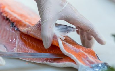 În Postul Paștelui, somonul norvegian de crescătorie, o alegere populară, ridică semne de întrebare cu privire la siguranța sa pentru consum