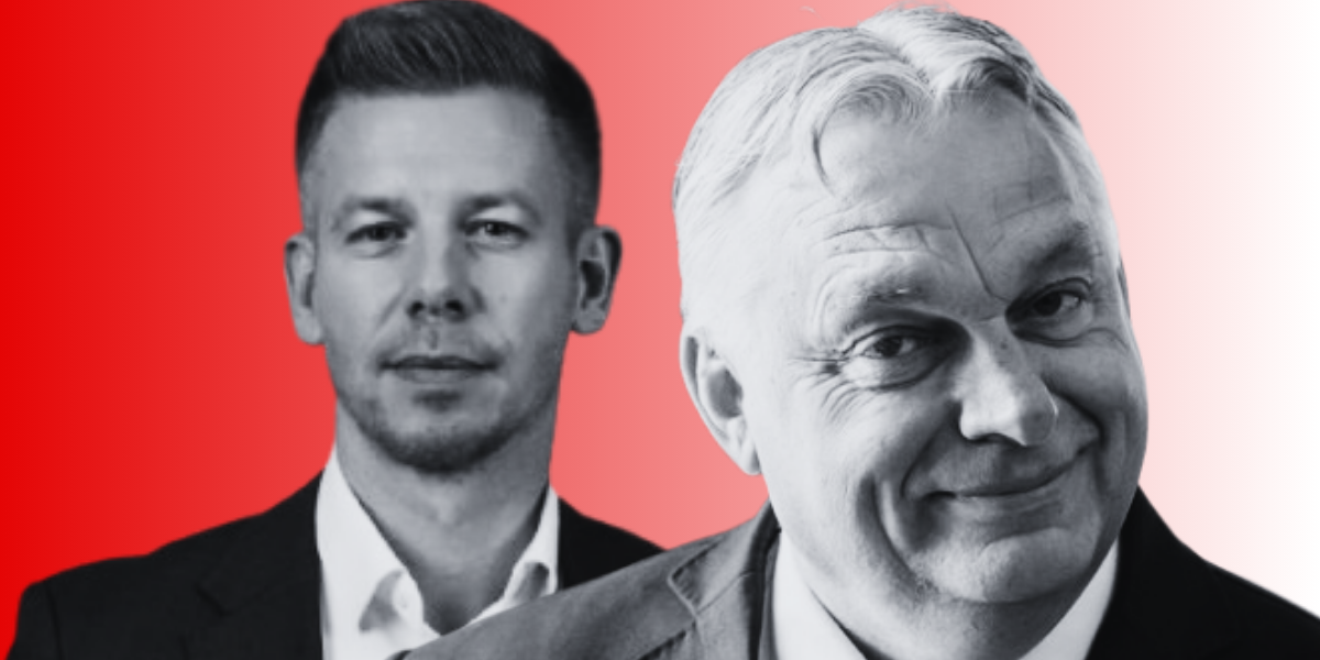 Mandate parlamentare: Cum funcționează împărțirea lor în Ungaria