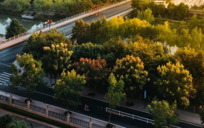 Galați: Patru păduri urbane prind viață cu 3,5 milioane lei din PNRR