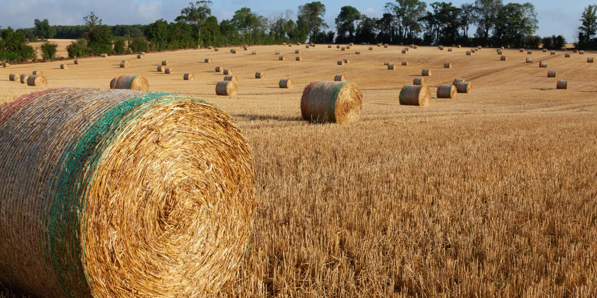 Comisia Europeană, undă verde pentru 300 milioane euro, ajutor Franței în agricultură