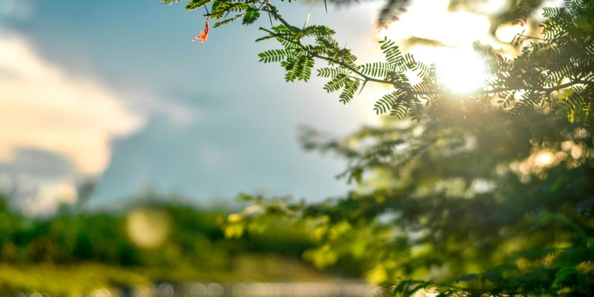 Pielea „iese din iarnă”: Ce spun medicii despre soarele periculos