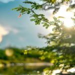 Pielea „iese din iarnă”: Ce spun medicii despre soarele periculos