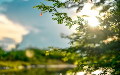 Pielea „iese din iarnă”: Ce spun medicii despre soarele periculos