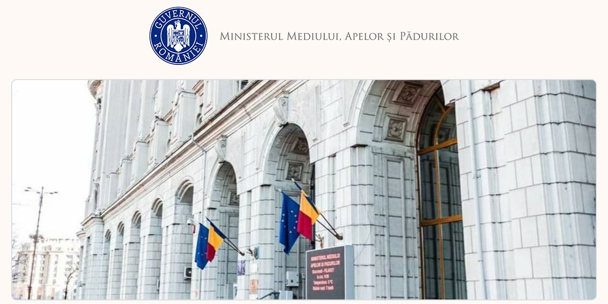 Dezbateri pe masa lemnoasă: Guvernul modifică reglementările din 2010-2013