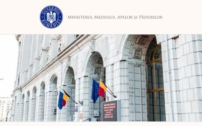 Dezbateri pe masa lemnoasă: Guvernul modifică reglementările din 2010-2013