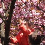 Alertă meteo: Vânt puternic în România, rafale de peste 90 km/h