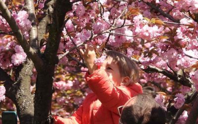 Alertă meteo: Vânt puternic în România, rafale de peste 90 km/h