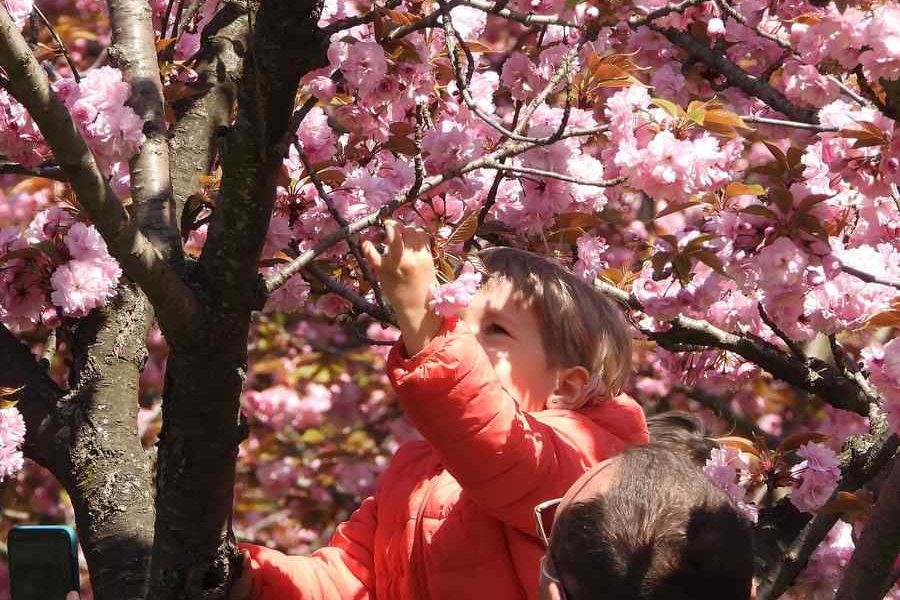 Alertă meteo: Vânt puternic în România, rafale de peste 90 km/h