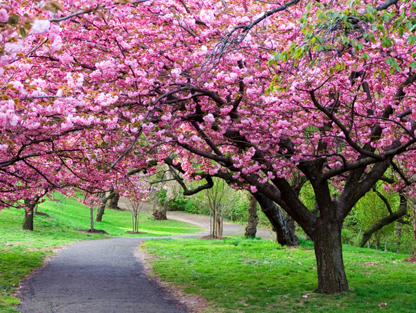 Vreme blândă, dar cu puține ploi în România