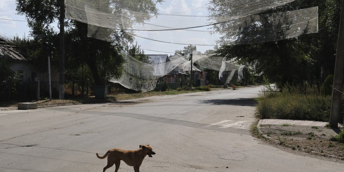 Ucrainenii, speriați de noi atacuri după armistițiu: „Pace, NU pauze”