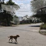 Ucrainenii, speriați de noi atacuri după armistițiu: „Pace, NU pauze”